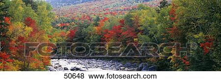 Stock Photo - White Mountain National Forest NH. Fotosearch