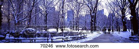 Stock Photograph - Winter Central Park NY USA. Fotosearch