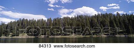 Stock Image - Yellowstone River Hayden Valley Yellowstone National Park WY. Fotosearch