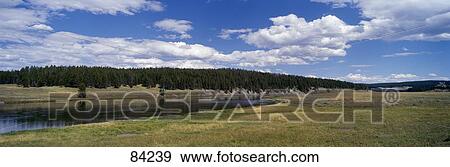 Yellowstone River Hayden Valley Yellowstone National Park WY View Large Photo Image Stock Photo - Yellowstone River Hayden Valley Yellowstone National Park WY. Fotosearch
