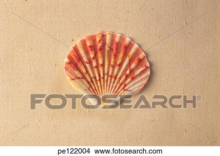 View Large Photo Image Picture - . Fotosearch