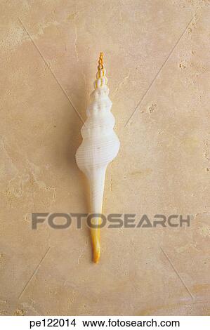 Picture - . Fotosearch