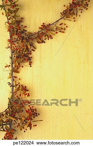 Picture - . Fotosearch