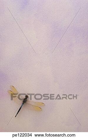 Picture - . Fotosearch