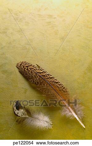 Picture - . Fotosearch