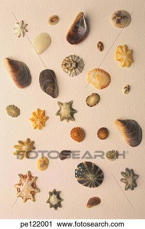 Stock Image - . Fotosearch