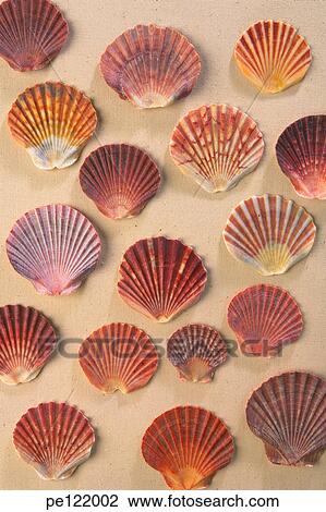 Stock Image - . Fotosearch