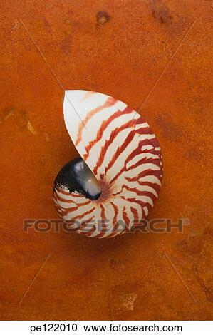 Stock Image - . Fotosearch