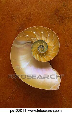 Stock Image - . Fotosearch