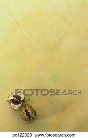 Stock Image - . Fotosearch