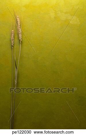 Stock Image - . Fotosearch
