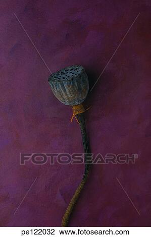 View Large Photo Image Stock Image - . Fotosearch