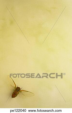 Stock Image - . Fotosearch