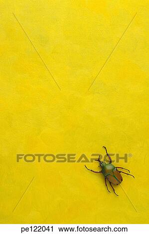 Stock Image - . Fotosearch
