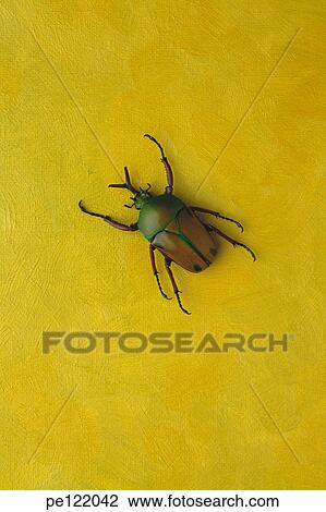 Stock Image - . Fotosearch