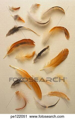Stock Image - . Fotosearch