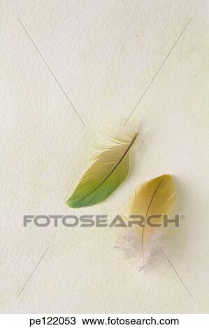 Stock Image - . Fotosearch