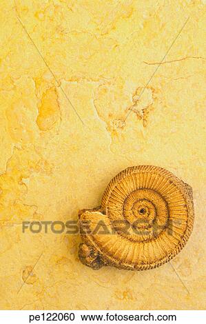 Stock Image - . Fotosearch
