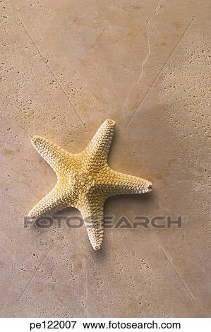 View Large Photo Image Stock Photo - . Fotosearch