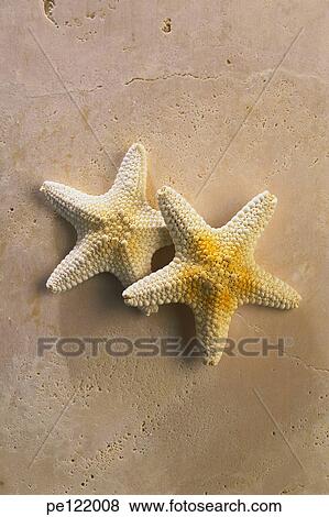 Stock Photo - . Fotosearch