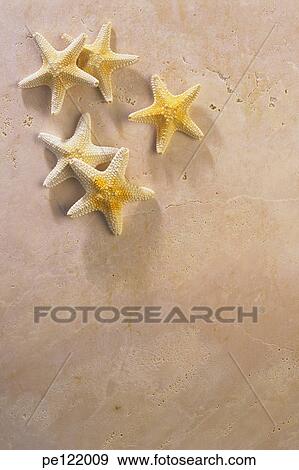 Stock Photo - . Fotosearch
