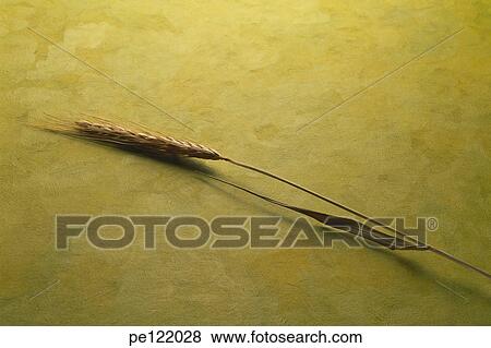 Stock Photo - . Fotosearch