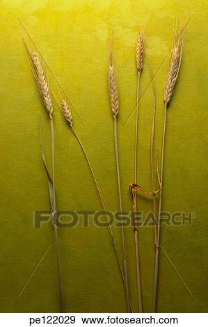 Stock Photo - . Fotosearch