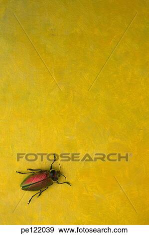 Stock Photo - . Fotosearch