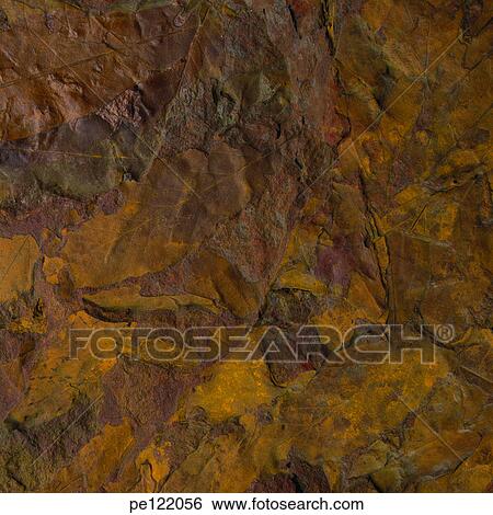 Stock Photograph - . Fotosearch