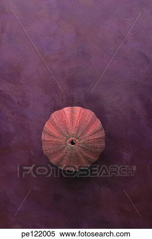 Stock Photography - . Fotosearch