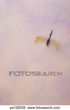 Stock Photography - . Fotosearch