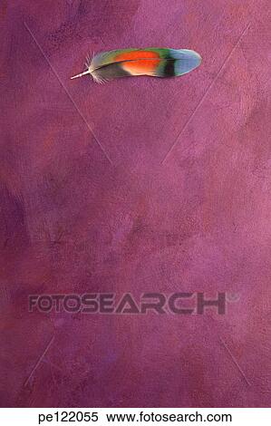 Stock Photography - . Fotosearch