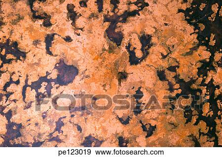 Stock Photo - . Fotosearch