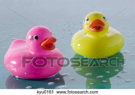 2 rubber ducks, close-up View Large Photo Image Stock Image - 2 rubber ducks, close-up. Fotosearch