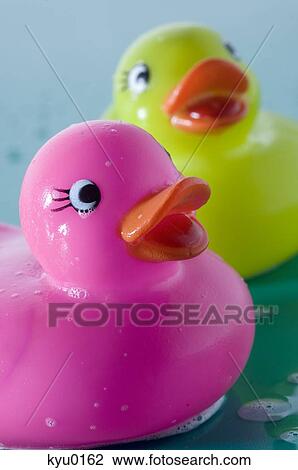 2 rubber ducks, close-up View Large Photo Image Stock Image - 2 rubber ducks, close-up. Fotosearch