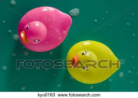 2 rubber ducks, close-up View Large Photo Image Stock Image - 2 rubber ducks, close-up. Fotosearch