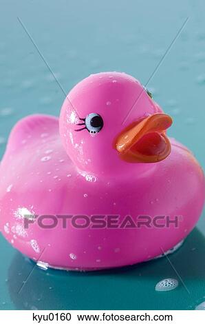 Pink rubber duck, close-up View Large Photo Image Stock Image - Pink rubber duck, close-up. Fotosearch