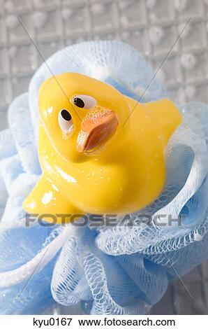 Rubber duck on mesh sponge, close-up View Large Photo Image Stock Photo - Rubber duck on mesh sponge, close-up. Fotosearch