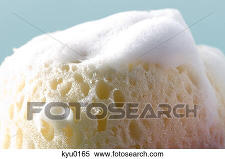 Stock Photography - Sponge covered with soap lather, close-up. Fotosearch