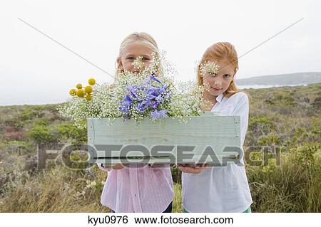 Two girls carrying a box of flowers View Large Photo Image Stock Photograph - Two girls carrying a box of flowers. Fotosearch