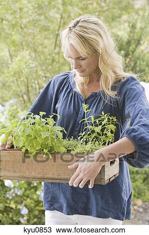 Stock Image - Woman carrying a crate of plants. Fotosearch