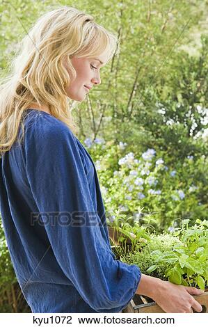 Stock Image - Woman carrying a crate of plants. Fotosearch