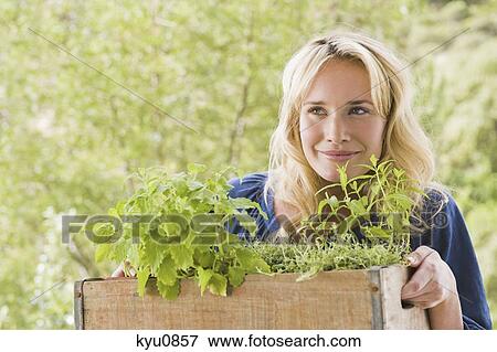 Woman carrying a crate of plants View Large Photo Image Stock Photo - Woman carrying a crate of plants. Fotosearch