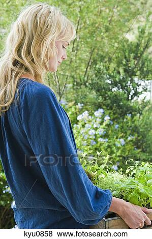 Stock Photo - Woman carrying a crate of plants. Fotosearch