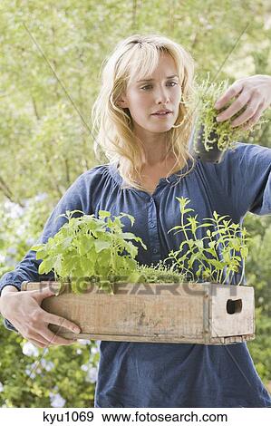 Stock Photo - Woman carrying a crate of plants. Fotosearch