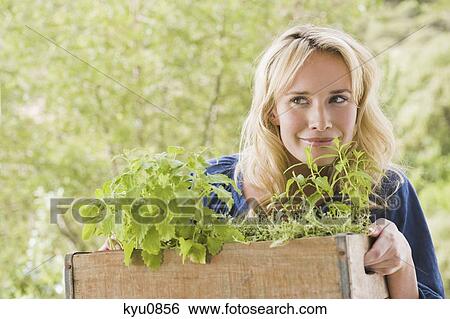 Woman carrying a crate of plants View Large Photo Image Stock Photograph - Woman carrying a crate of plants. Fotosearch