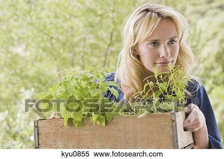 Stock Photography - Woman carrying a crate of plants. Fotosearch