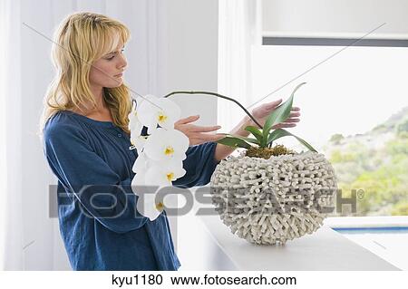 Stock Image - Woman looking at a houseplant. Fotosearch