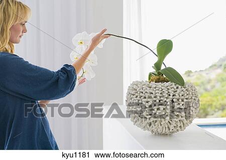 Stock Image - Woman looking at a houseplant. Fotosearch