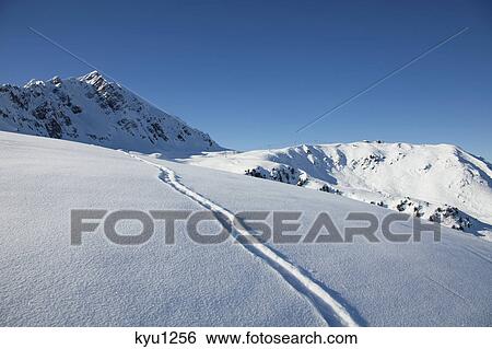 Snowboard track in fresh snow View Large Photo Image Stock Photograph - Snowboard track in fresh snow. Fotosearch